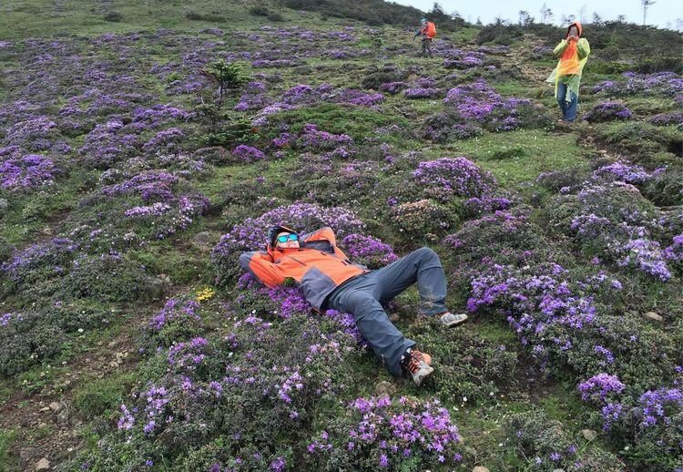 麗江玉龍雪山徒步登山攻略