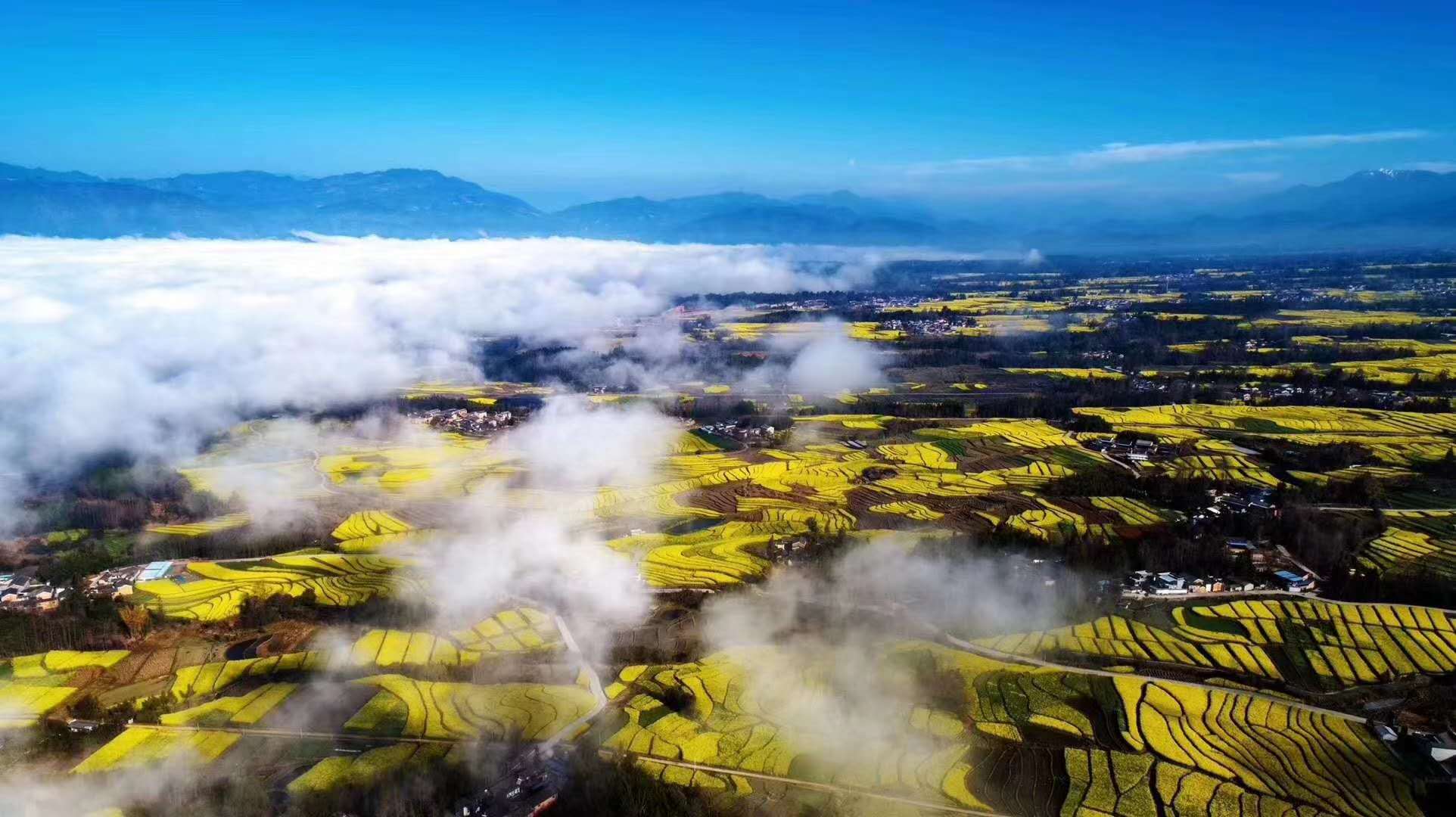 麗江研學，關(guān)于研學的國家政策文件，我們?yōu)槭裁垂膭钛袑W？