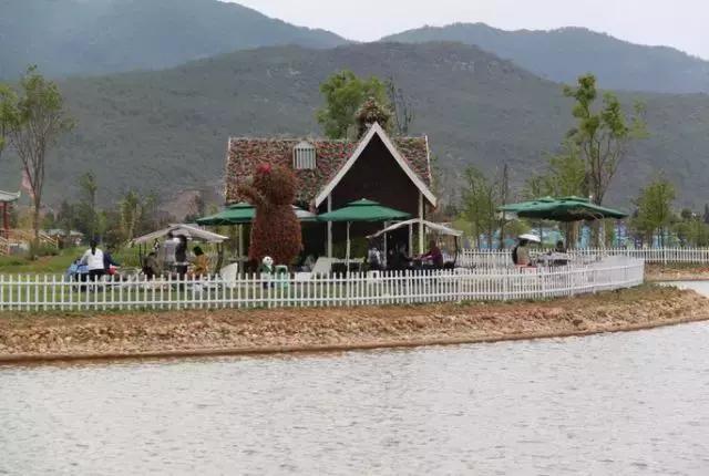 麗江雪山玫瑰莊園