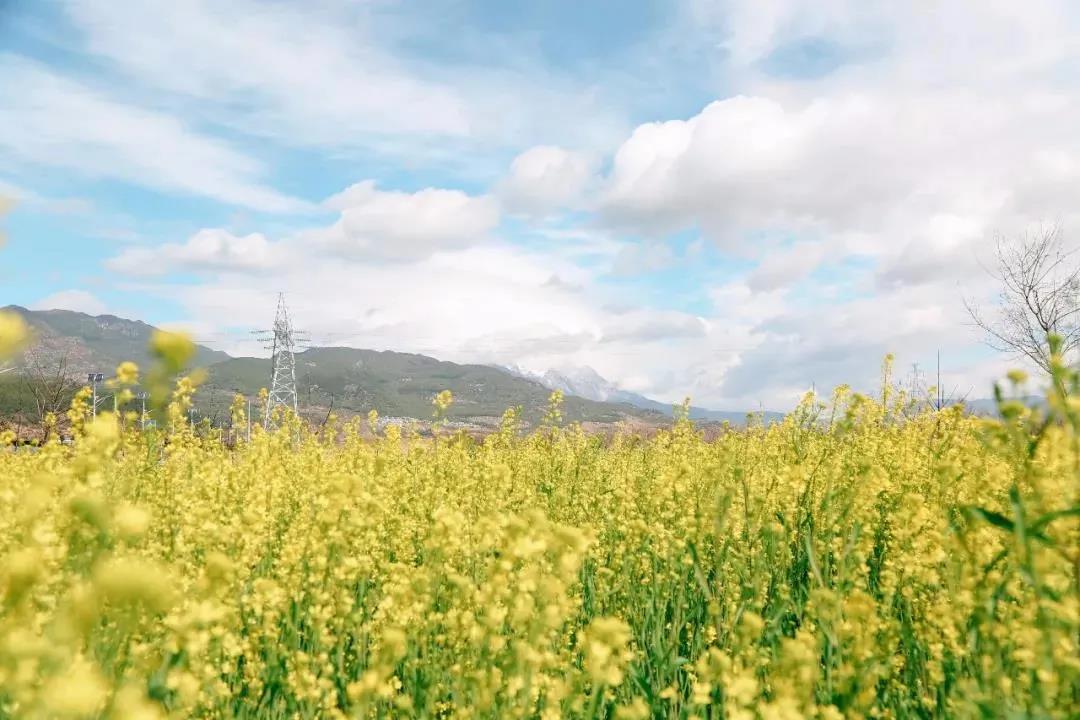 多彩麗江，村游正當(dāng)時(shí)，約起來！