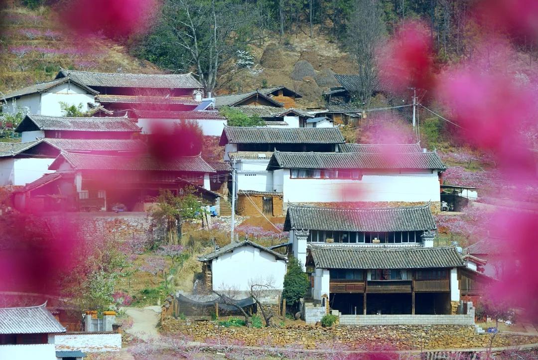 “郭靖”、“黃蓉”喊你來(lái)“桃花島”過(guò)日子……