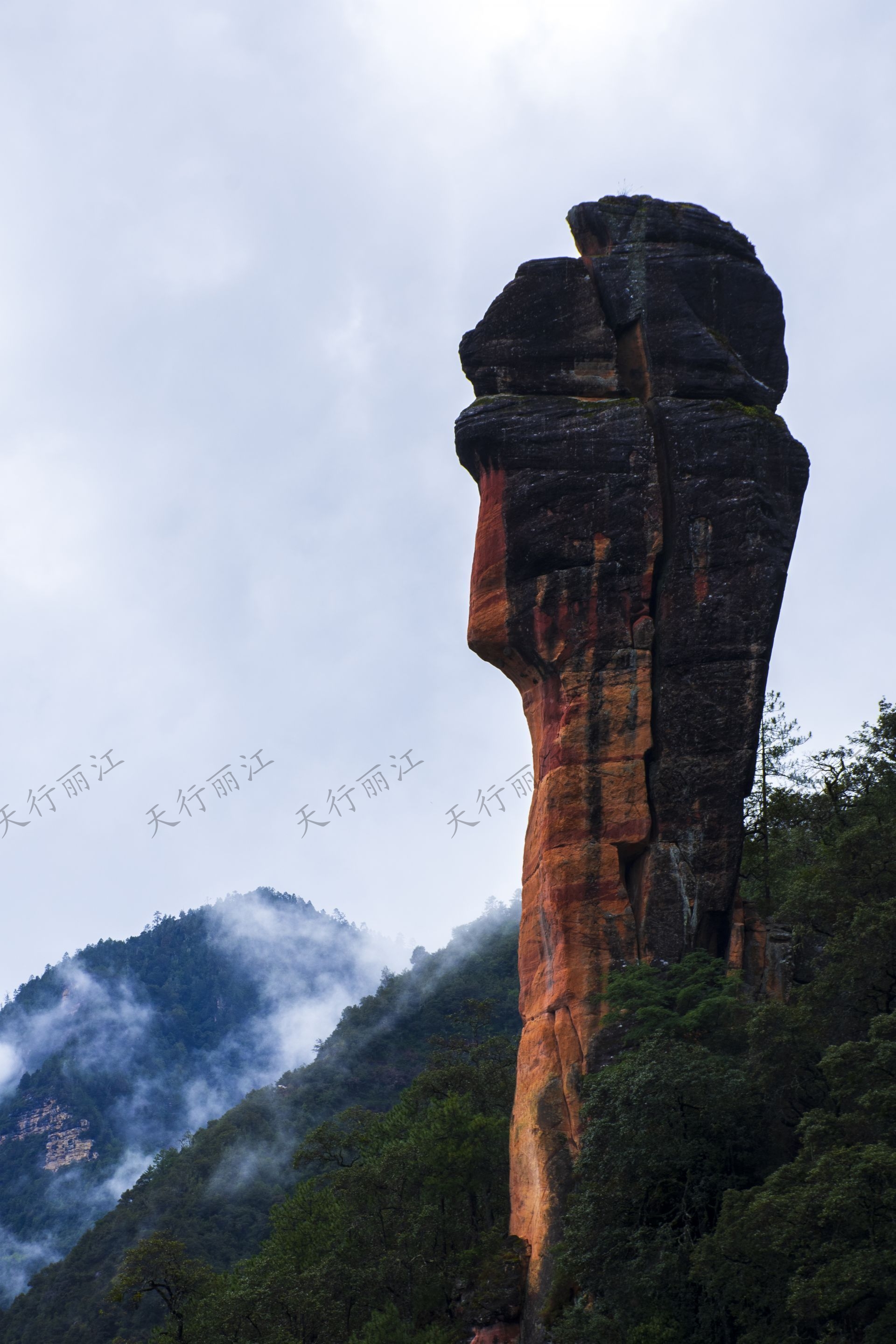 麗江老君山黎明景區(qū)因其避世的清幽、壯美的丹霞，成為了一處令人向往的秘境。 在這里，可以游壯美千龜山。景區(qū)以丹霞地貌聞名，是國內面積最大、發(fā)育最完整的丹霞地貌。以千龜山為代表，其形如烏龜?shù)膲邀惥坝^，堪稱中國一絕。游人可乘坐索道，輕松游覽這一奇觀。