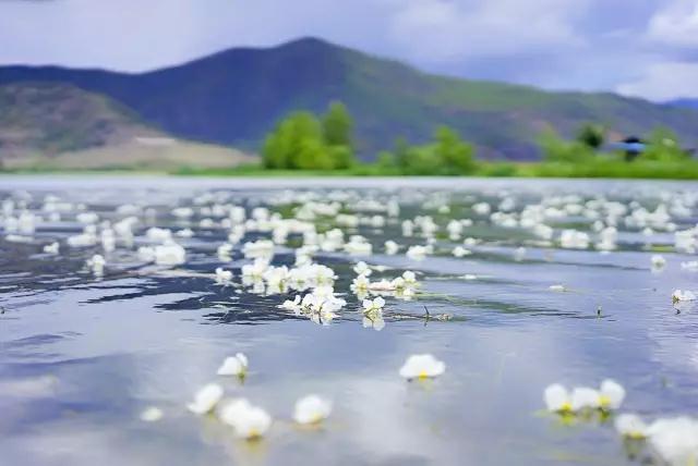 瀘沽湖旅游