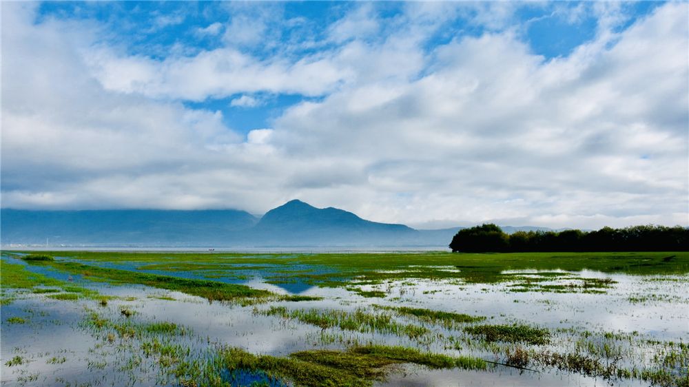 麗江拉市海