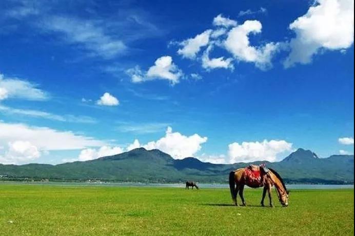 麗江攝影丨去拉市海感受馬背上的茶馬古道   麗江旅游